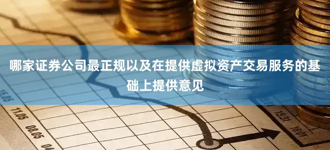 哪家证券公司最正规以及在提供虚拟资产交易服务的基础上提供意见