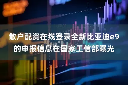 散户配资在线登录全新比亚迪e9的申报信息在国家工信部曝光