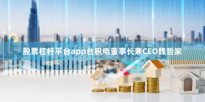股票杠杆平台app台积电董事长兼CEO魏哲家